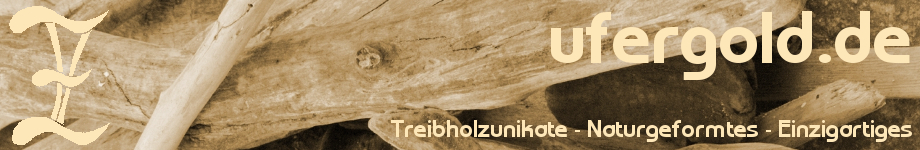 Treibholz